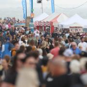 Air Festival flying suspended until further notice after 