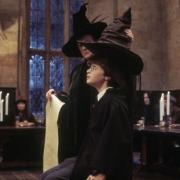 Harry Potter fans can take on the Sorting Hat challenge to see where they place (Wizarding World)