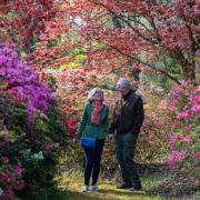 Exbury Gardnes in bloom during spring 2022