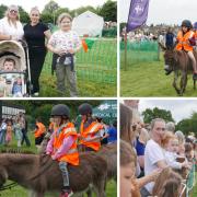 The annual Donkey Derby at Eling Recreation Ground runaway success