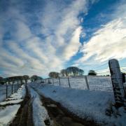 Army of Hampshire farmers on standby for blizzard