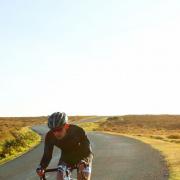 Cycling in the New Forest