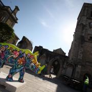 One of the Go! Rhinos pictured outside Holy Rood in Southampton