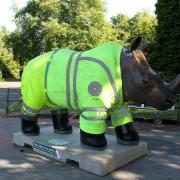 Vandals target rhinos on Southampton Go Rhinos trail