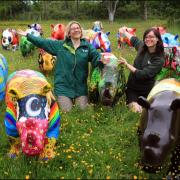 Kirstie Mathieson and Francesca Smith of Marwell Wildlife with some of the rhinos.
