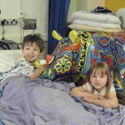 Youngsters at Southampton General Hospital meet Hearty the rhino