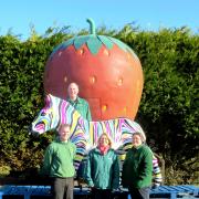 Fruit and veg farm picks its own zebra sculpture