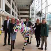 Earning their stripes: Liz Cheaney, HR Director, Nick Gross, chairman and partner; Emily Bell, marketing assistant; Amir Hussain, head of marketing and Kirstie Mathieson, project manager for Marwell's Zany Zebras.