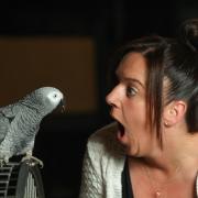 Natasha Morris, landlady at The Red Lion in Southampton, with her parrot. Picture by Stuart Martin Molly.