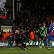 Crystal Palace 1-0 Southampton - in pictures