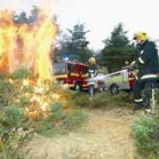 FIGHTING ARSON: Firefighters tackle a blaze in the New Forest inclosure.