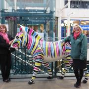 Liz Marsden and Kirstie Mathieson with Gilbert the Zebra