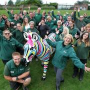 Staff celebrate the Zany Zebras project's twenty fifth sponsor, Marwell Zoo