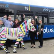 Zany Zebras get their ticket to ride from top bus firm