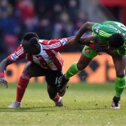 Southampton 1-1 Sunderland - in pictures