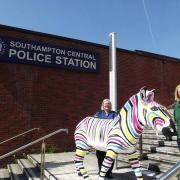 The Marwell’s Zany Zebras team collected Gilbert from Southampton Central Police Station, pictured with Yvonne Brooks from the evidence management team