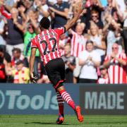 Saints 1-1 Watford - in pictures