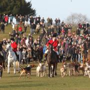 The possible return of foxhunting is among the election issues. The New Forest Hounds currently stage trail hunting, using an artificial scent.