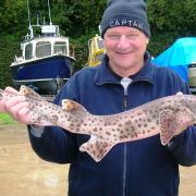 Adrian Moody from the Waterside with his bull huss caught during a Lymington shallow boat competition.