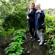 GARDENING PALS: Maggie Shepherd and Jean Anzalucca. Echo picture by Paul Collins Order no: 8609470