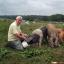 Hyden Farm Organic Meat and Poultry produce review