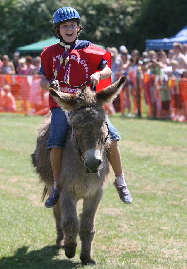 Weekend in Pictures May 26th - 28th, 2012. The 17th Annual Donkey Derby.