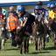 Weekend in Pictures May 26th - 28th, 2012. The 17th Annual Donkey Derby. Weekend in Pictures May 26th - 28th, 2012. The 17th Annual Donkey Derby.