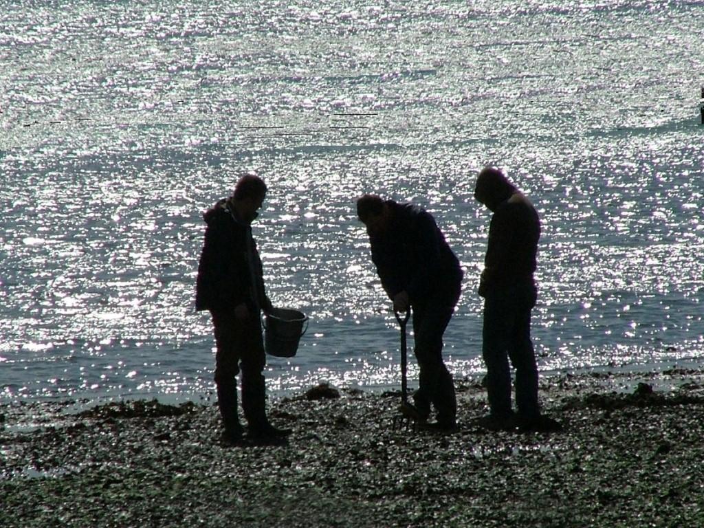 Caught on Camera - June 15, 2012 - Digging for bait at Calshot, photographed by Daily Echo reader Chris Hayles.