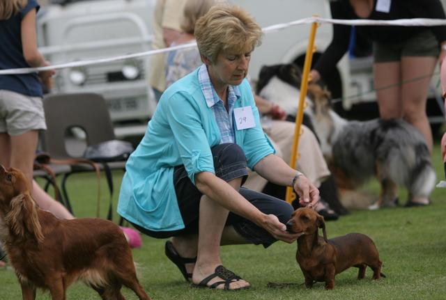 Weekend in Pictures Jul 28 - Jul 29, 2012. Kings Somborne Flower and Dog Show.