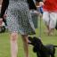 Weekend in Pictures Jul 28 - Jul 29, 2012. Kings Somborne Flower and Dog Show. Weekend in Pictures Jul 28 - Jul 29, 2012. Kings Somborne Flower and Dog Show.