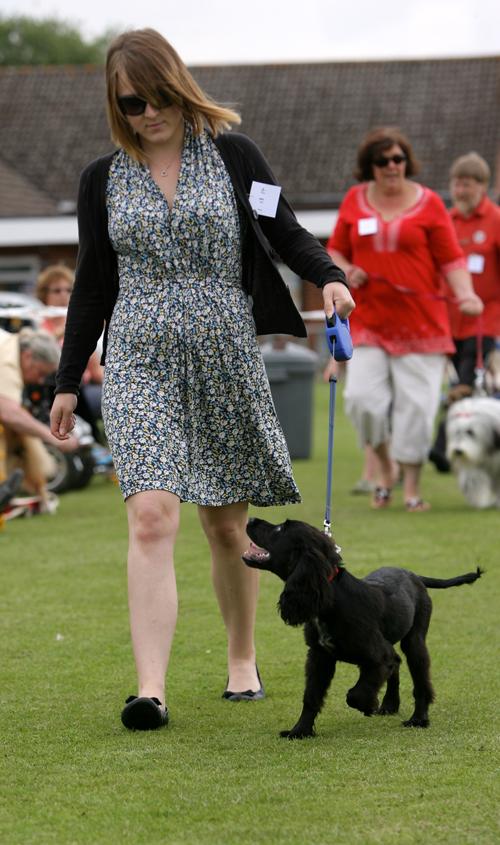 Weekend in Pictures Jul 28 - Jul 29, 2012. Kings Somborne Flower and Dog Show.