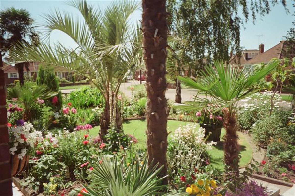 Summer Garden in Bloom 2012. Entry from Leonard Newman.