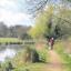 Walking the dog along a quiet stretch of the Itchen Navigation near Shawford, photographed by Daily Echo reader Alison Parsons