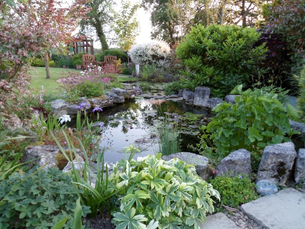 Summer Garden in Bloom 2012. Entry by Mrs Blair.
