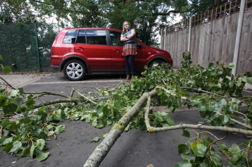 The damaged car and the fallen tree branch
