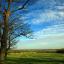 Concern at Green Belt changes