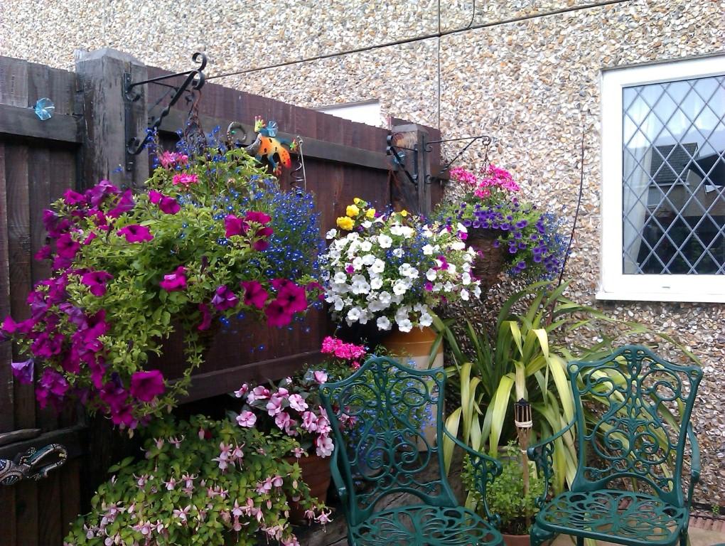 Summer Garden in Bloom 2012. Entry by Kay Springall