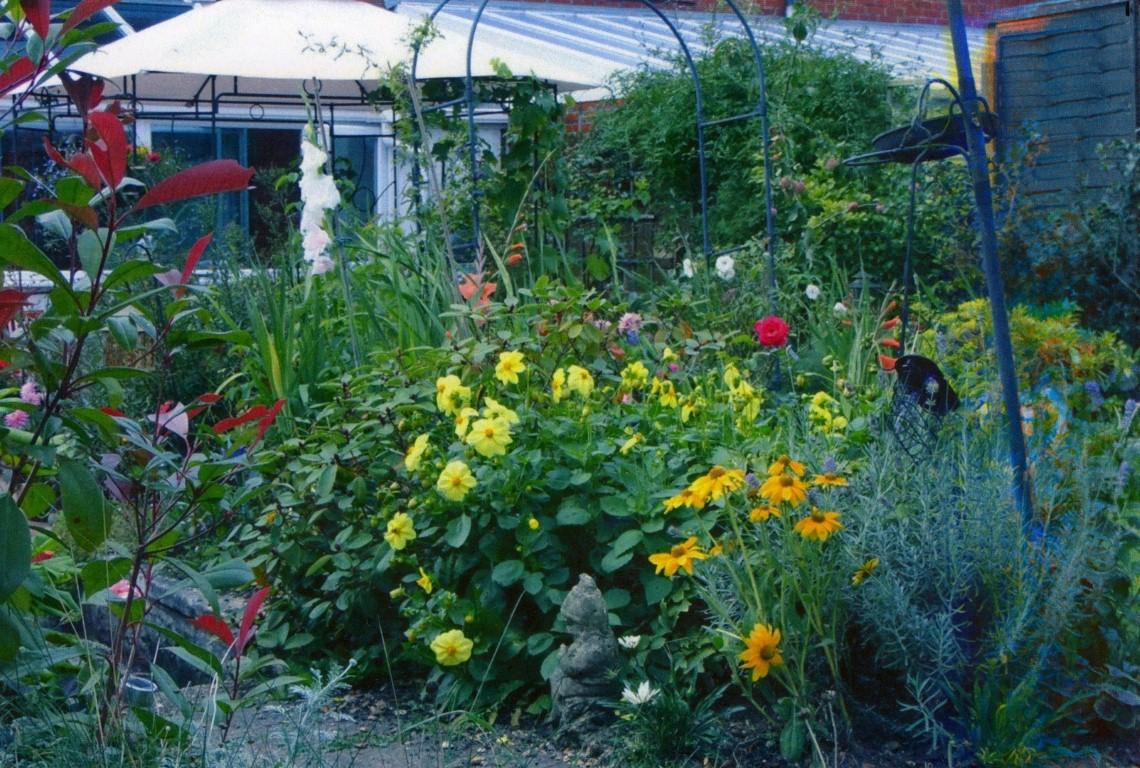 Summer Garden in Bloom 2012.