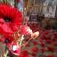 Flower festival brings splash of colour to medieval almshouse