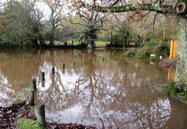 Honey Lane in Burley blocked by flooding. Picture by Simon Rowley
