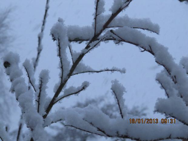 Julie Preston took this picture of the snow in Hedge End