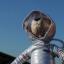 Derek the space teddy