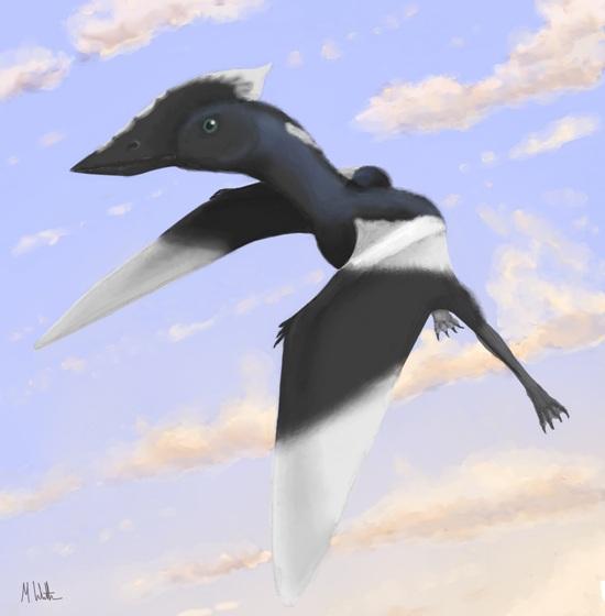Prehistoric reptile named after girl who found fossil on beach
