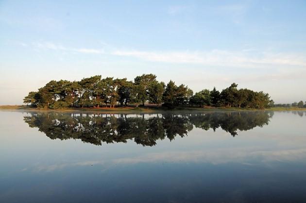 Early morning reflections at Hatchet Pond in the New Forest, by Daily Echo reader Alex Haimes. Caught on Camera August 27, 2012.