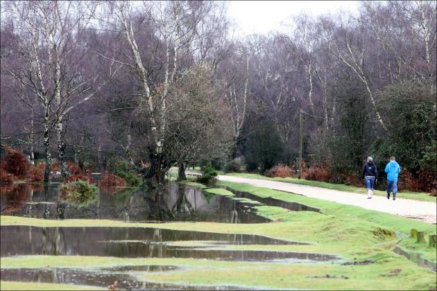 Flooding following heavy rain in the New Forest, by Daily Echo photographer Paul Collins.