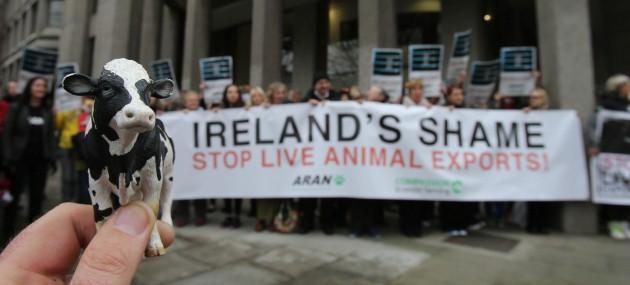 Campaigners from the Animal Rights Action Network hold a rally against live exports from Ireland at the department of Agriculture in Dublin today.
Picture date: Wednesday April 24, 2013. 