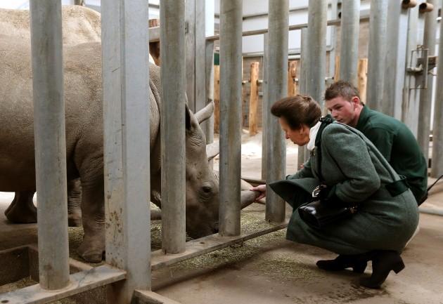 The Princess Royal strokes baby rhino Angus' horn with keeper Graeme Alexander after she officially opened the new elephant habitat at Blair Drummond Safari Park near Stirling. She last visited the park in 1972.
Picture date: Friday April 19, 2013.