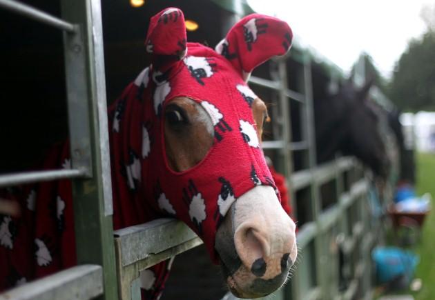 A horse has a snuggie hood on as it waits in its stable at the Royal Windsor Horse Show in Berkshire.
Picture date: Wednesday May 8, 2013.
