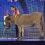 Patty the painting donkey tried out for Britain's Got Talent