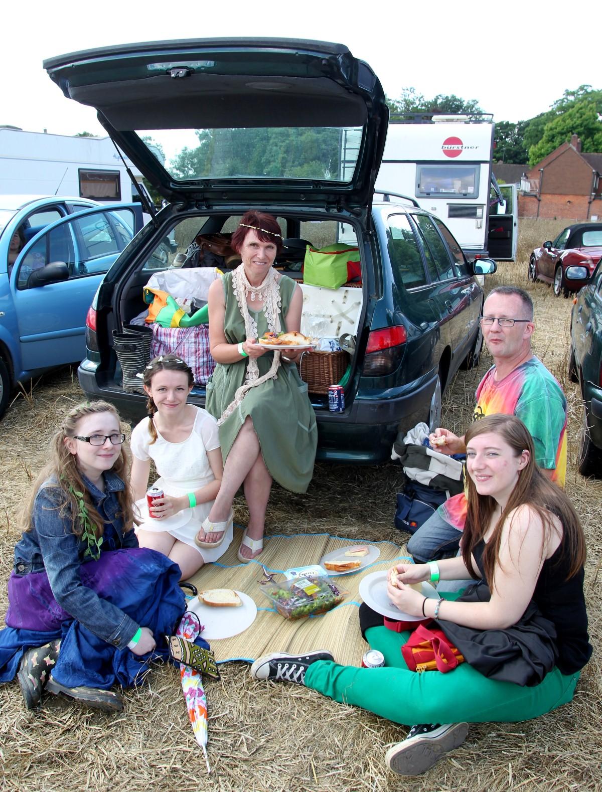 Picture from Wickham Festival 2013